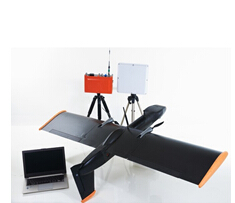 Avian|��ӥ���˻�