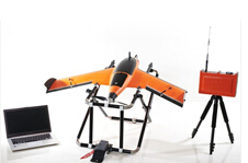 Swallow|�������˻�